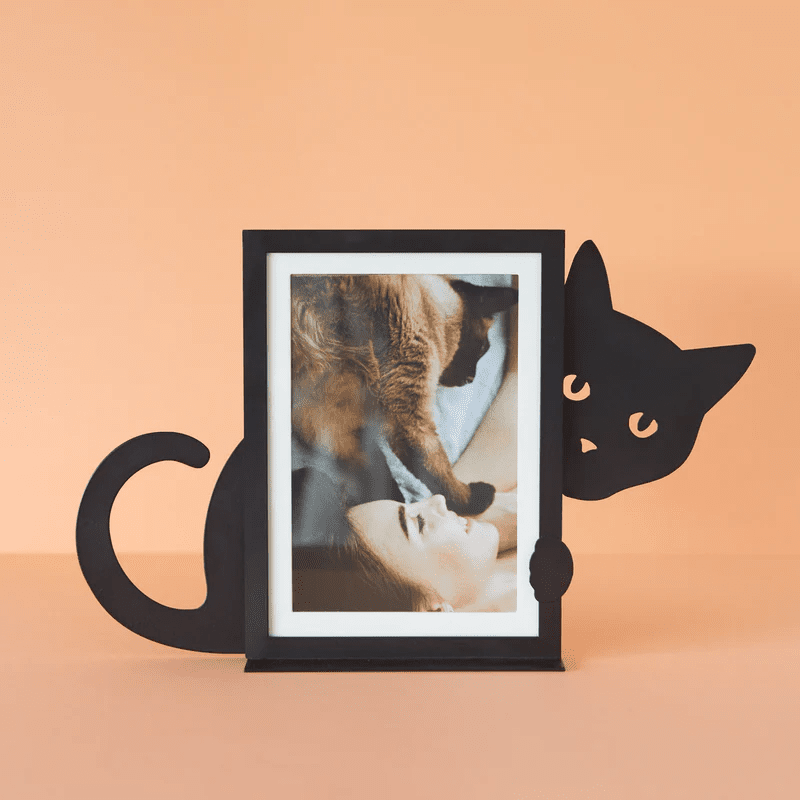 Cornice per foto Hidden Cat Verticale - 27704